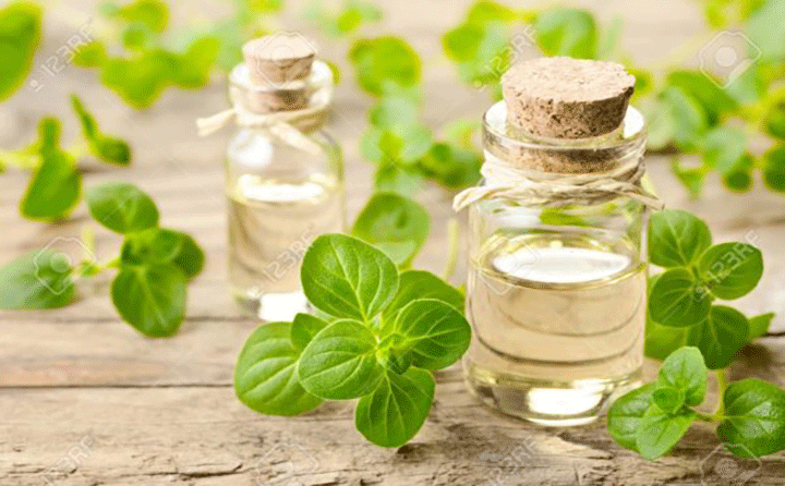 آیا استفاده از روغن پونه کوهی هنگام بارداری بی خطر است؟