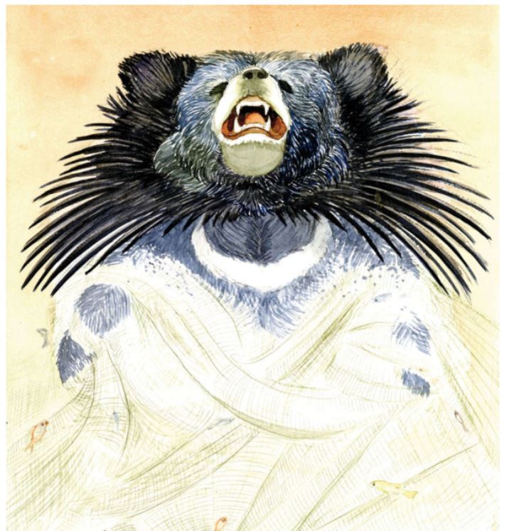 bear-goes-fishing-story-13